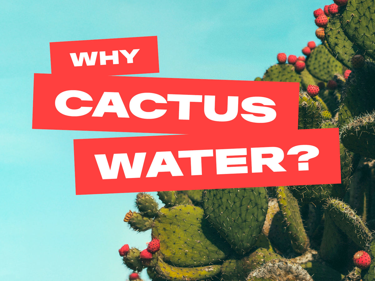 why cactus water? discover the benefits - hero image