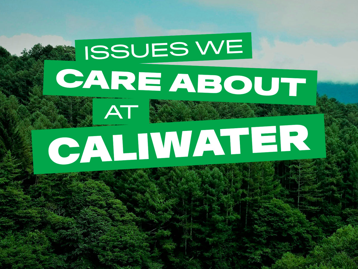 Issues Caliwater supports