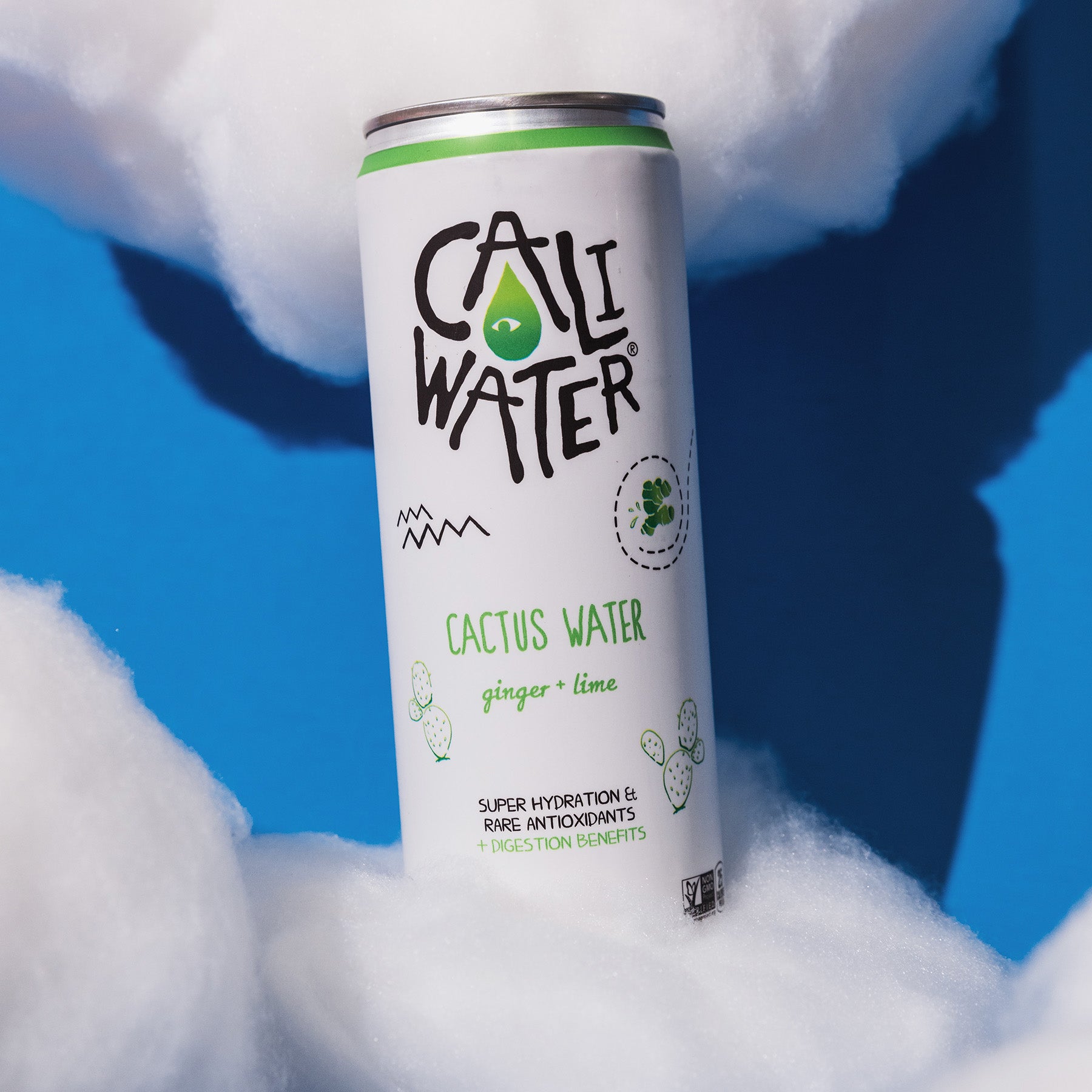 Cactus Water Can in Clouds Ginger + Lime
