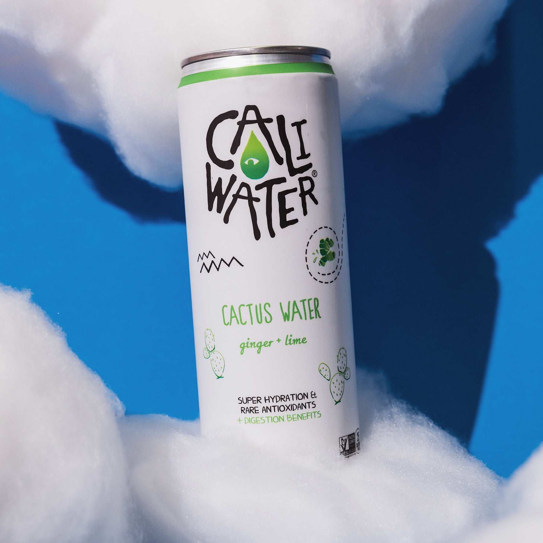 Pineapple Cactus Water | Caliwater